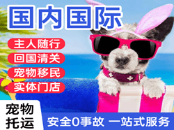 贵阳机场货运国际宠物托运 【国